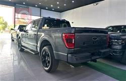 فۆرد F-150